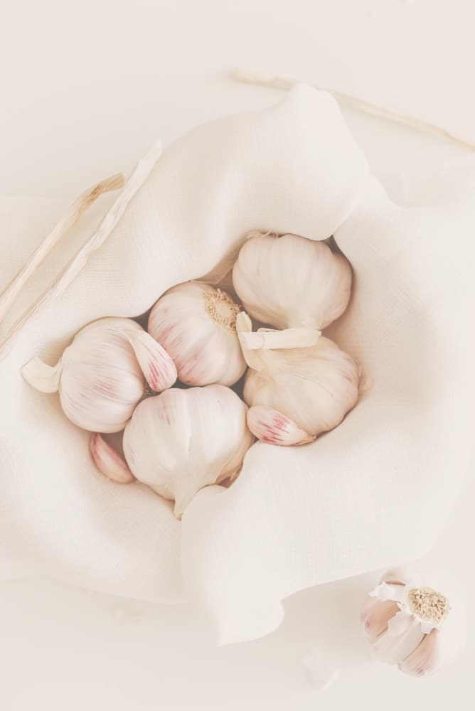Want to know what we grow and why we use them? 9 of our fabulous ingredients.